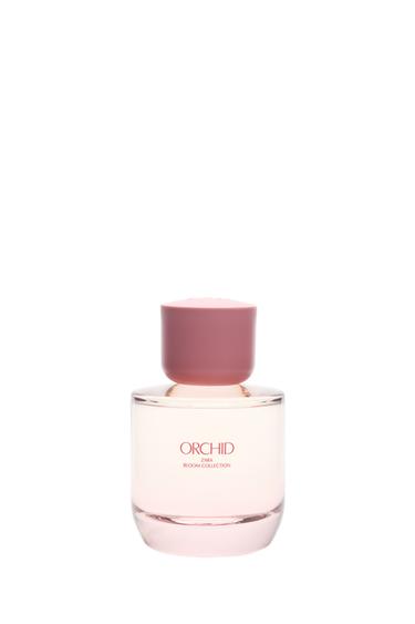 Zara Orchid